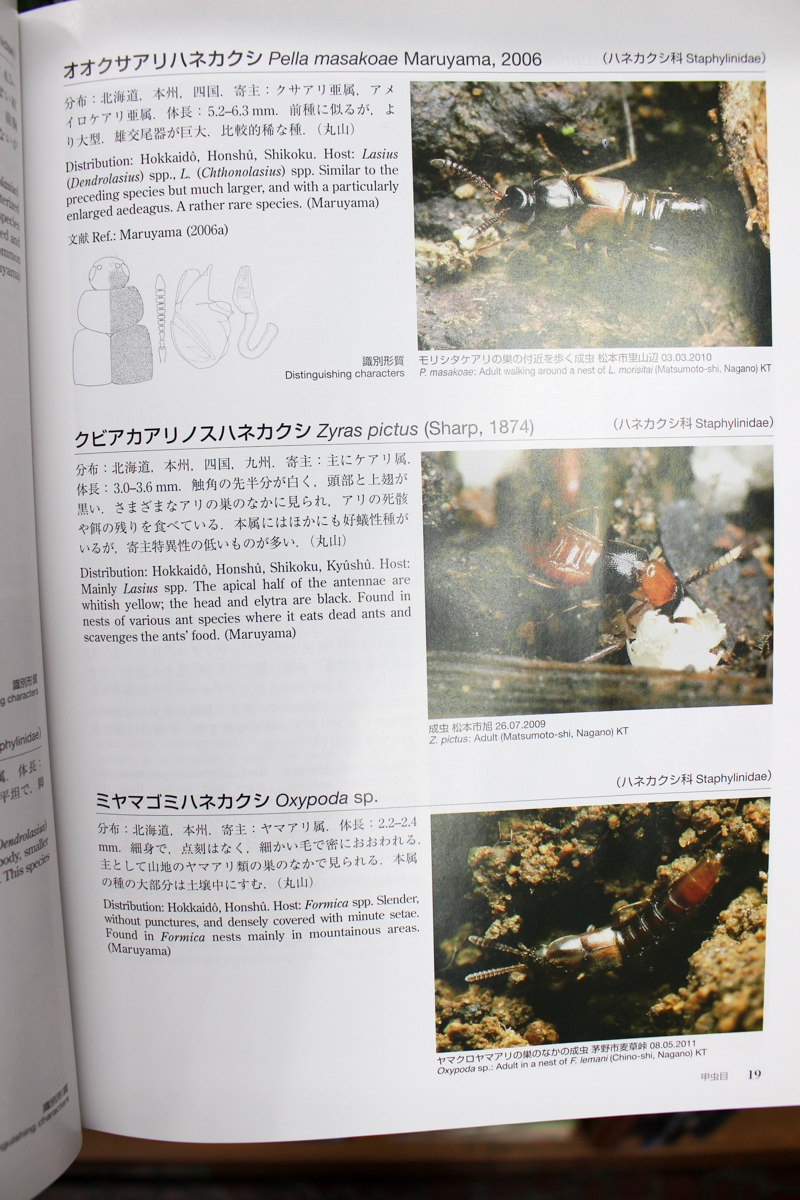 アリの巣の生きもの図鑑 = The Guests of Japanese An… アリの巣の生きもの図鑑 The Guests of
